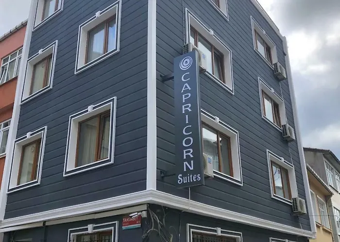 Capricorn By Otantik Ξενοδοχείο με διαμερίσματα Κωνσταντινούπολη